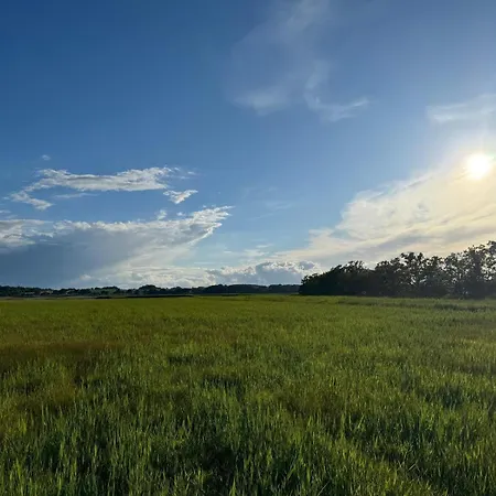 Mit Seeblick In Der Columba Apartment Sellin (Rugen)