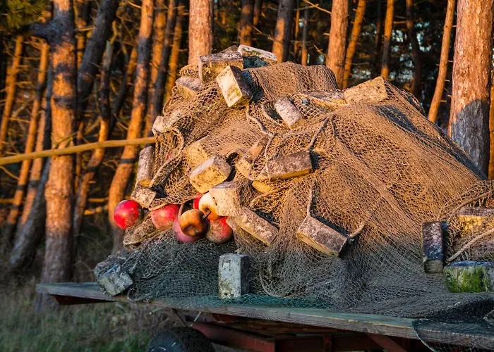 Mit Seeblick In Der Columba Apartment *
