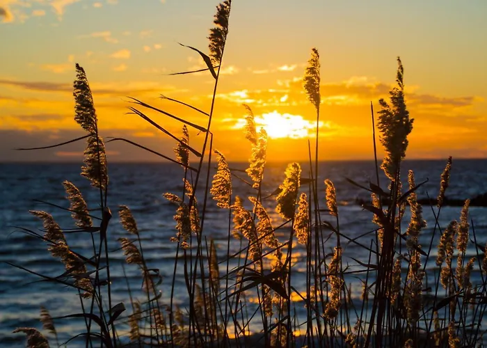 Mit Seeblick In Der Columba Apartment *